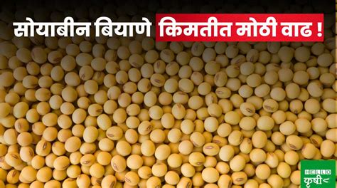 Soybean Seed सोयाबीन बियाणे किमतीत मोठी वाढ शेतकर्‍यांच्या मानेवर