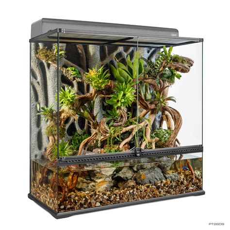 How To Set Up A Bioactive Terrarium Exo Terra