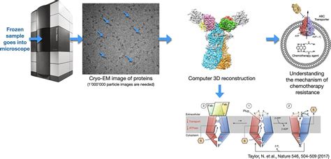 Electron Microscopy Lbem