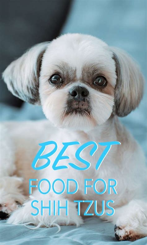 Best Dog Food For Shih Tzu Puppies Adults And Seniors