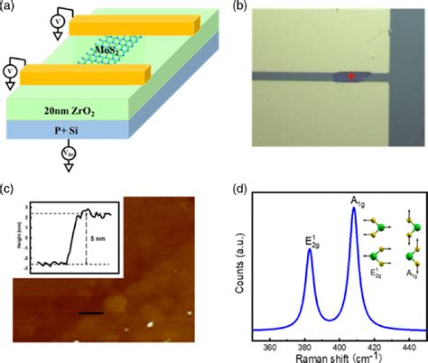 A 3d Schematic View Of An Mos 2 Back Gate Field Effect Transistor