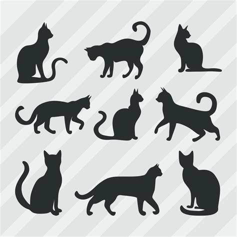 Cat Silhouette Vector Collection Cat Symbol Set 42660225 Vector Art At