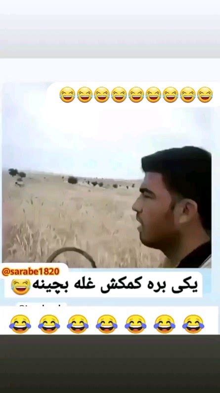 Sarabe1820instagram On Pinno 😂😂 😂 😂 😂 😂 بارون نمیزاره غله بچینیم خو🤣🤣