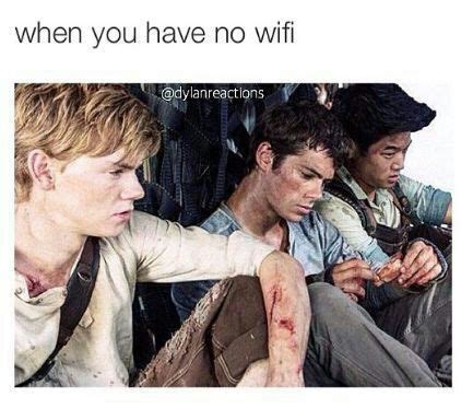 Maze Runner Memes The Glade Amino