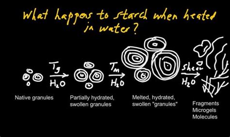 Difference Between Gelatinization and Gelation | Compare the Difference Between Similar Terms