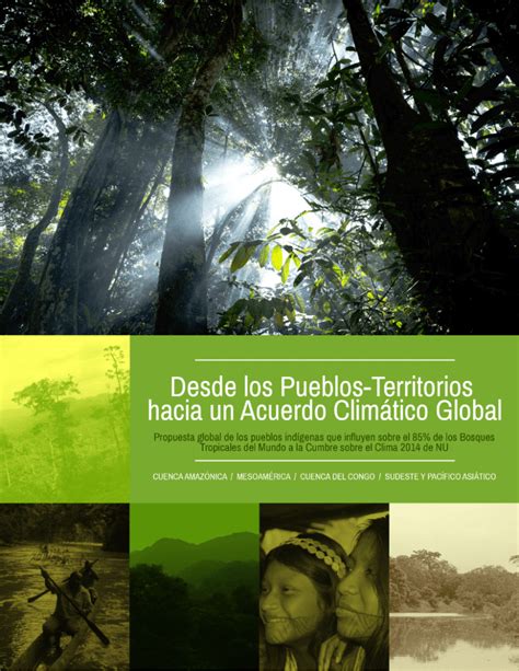 Descargar aquí Alianza Mesoamericana de Pueblos y Bosques