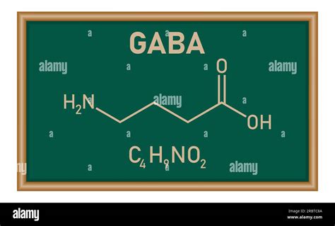 Chemical Structure Of Aminobutyric Acid Or Gamma Aminobutyric Acid Or