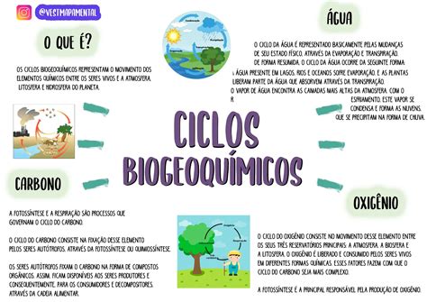 Ciclo Del Carbono Mapa Conceptual