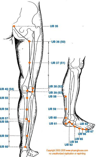 Ub Urinary Bladder Meridian Graphic Acupuncture Meridian Acupuncture Acupressure Treatment