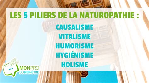 Les Piliers De La Naturopathie Mon Pro Du Bien Tre