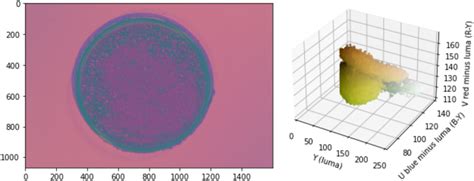 YUV view of the image (left) and YUV color space view of the image ...