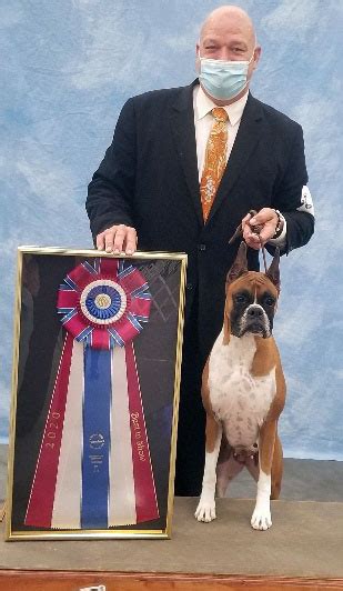 Lawton Dog Fanciers Association Thursday October 29 2020 Canine