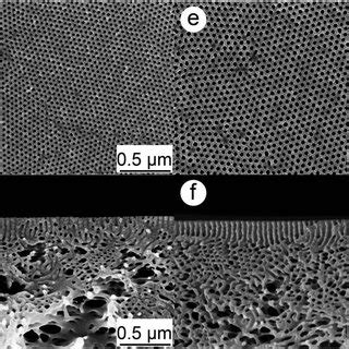 SEM Pictures Of The Surfaces And Cross Section Of Membranes M17 Made