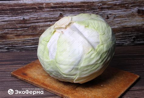 Капуста белокочанная: купить с доставкой - ЭкоФерма