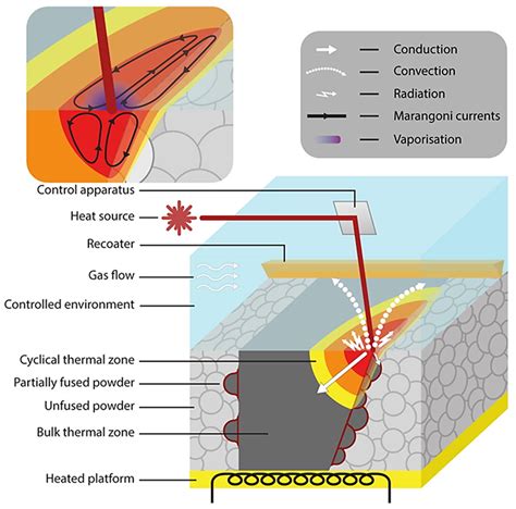 Metals Free Full Text Modelling Of Microstructure Formation In