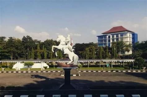 Daftar Daya Tampung Semua Jurusan Undip Jalur Snbp Lengkap Dengan