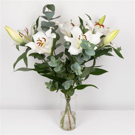 Premium Lilies Specially Selected Aldi Ie