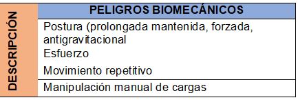 Etiqueta Gimnasia Charla Riesgo Biomecanico Definicion Velocidad Mero