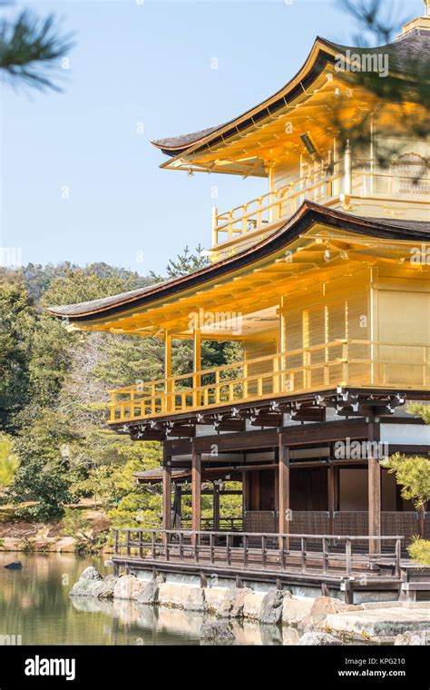 Side View Of The Kinkaku Ji Golden Temple In Kyoto Japan Stock Photo