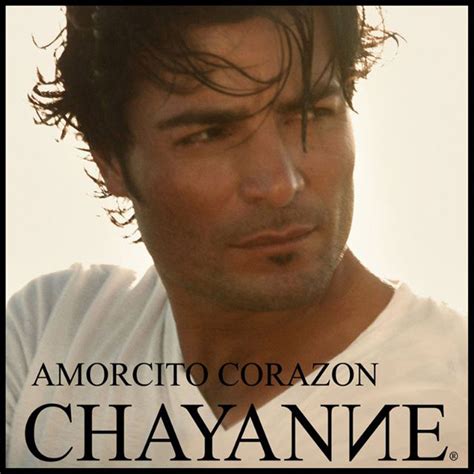 Car Tula Frontal De Chayanne Amorcito Corazon Cd Single Portada