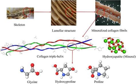 Fig4 Image Eurekalert Science News Releases