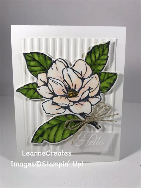 Stampin Up Good Morning Magnolia Fun Fold Artofit