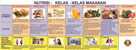 7 Kelas Makanan Dan Fungsinya Pengedar Shaklee Taiping