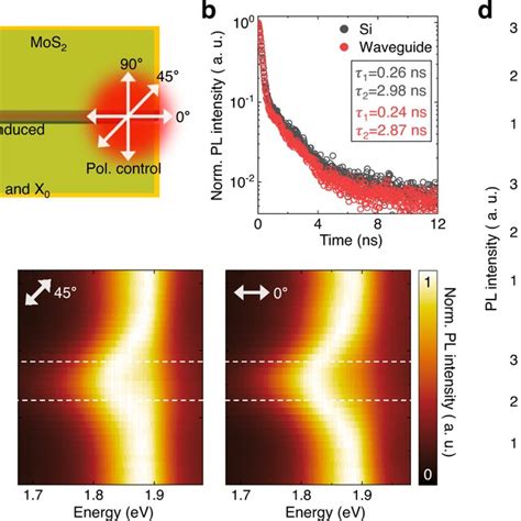 Complete Exciton To Trion Conversion A Illustration Of Exciton To Trion