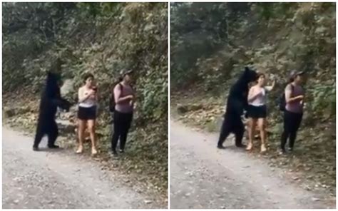 Video Viral Una Joven Aprovecha Que Un Oso Se Abalanza Sobre Ella