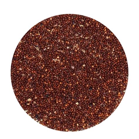 Basil Seeds At Rs 300kg Organic Seeds In Bareilly Id 2850796777491