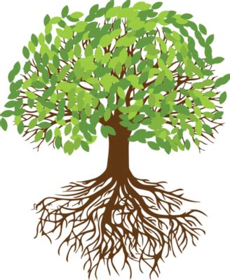 Arbol Raices PNG Para Descargar Gratis