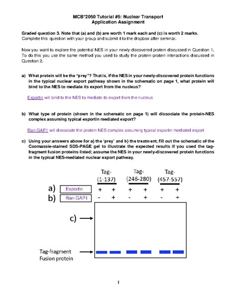 Nuclear Transport Seminar 5 Word MCB 2050 Tutorial 5 Nuclear