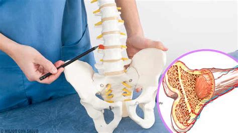 Tipos De Osteogénesis Imperfecta Mejor Con Salud