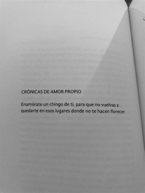 Libro Emmanuel Zavala De Romances Toloaches Y Amarres