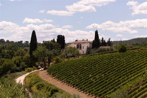 Vineyards Of Montalcino (Tuscany) Stock Image - Image of outdoor ...