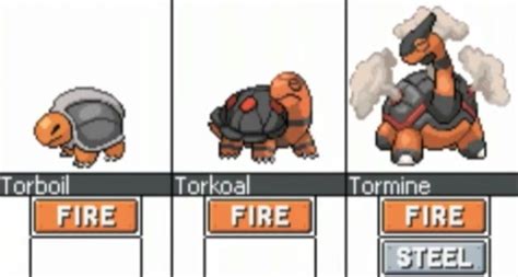Torkoal Evolution Chart
