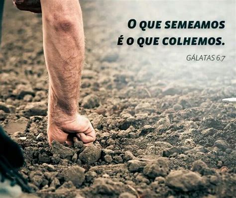 A Lei Da Semeadura Semeadura Frases Motivacionais Frases