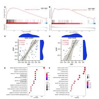 Functional Correlation Analysis Of The IL6 JAK STAT Signaling Pathway