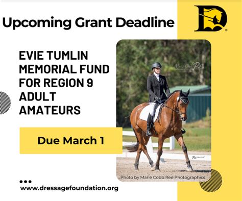 Upcoming Grant Deadline At The Dressage Foundation Just For USDF Region