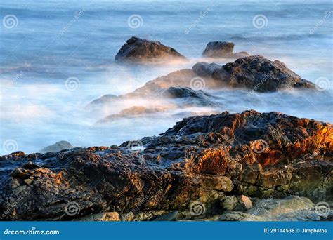 Exposed Rocks At Low Tide On The Maine Coast Stock Photo Image Of