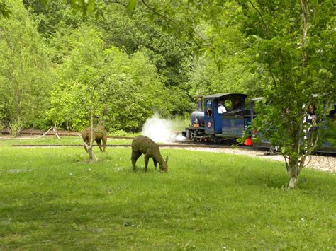 Exbury Gardens Steam Railway Southampton Hampshire Steam