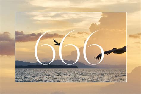 Discover The 666 Angel Number Meaning Twin Flame Twin Flames Coach®