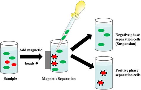 Magnetic Separation Chemistry