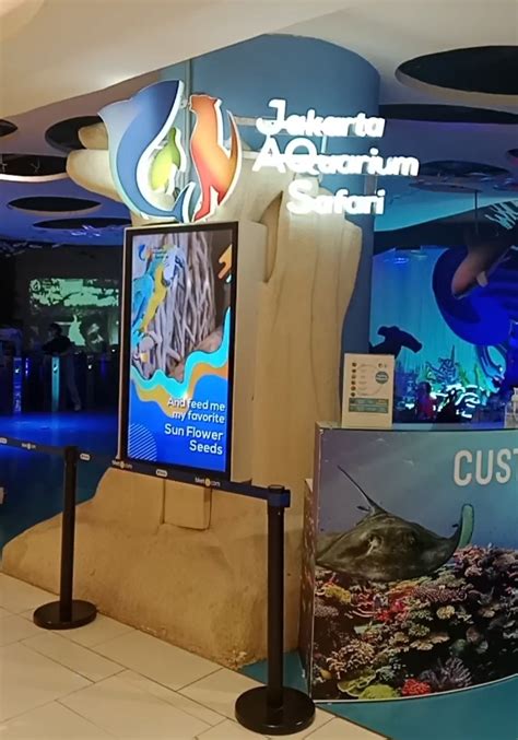 Jakarta Aquarium Safari Destinasi Wisata Dunia Bawah Laut Pertama Di