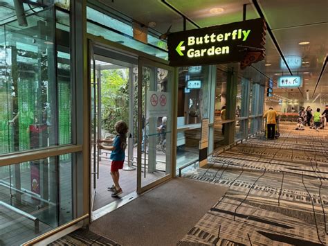 Butterfly Garden In Singapore Changi Airport Live And Lets Fly