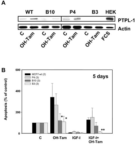 Protein Tyrosine Phosphatase PTPL1 FAP 1 Triggers Apoptosis In Human