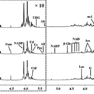 A Principal Component Analysis Scores Plot Based On 1H NOESYPR1D