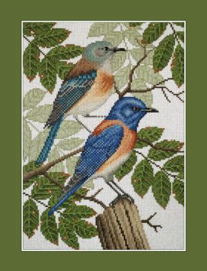 Western Bluebird Cross Stitch Birds