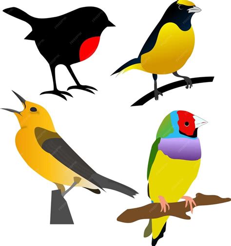 Colección De Pájaros Coloridos Vector Premium