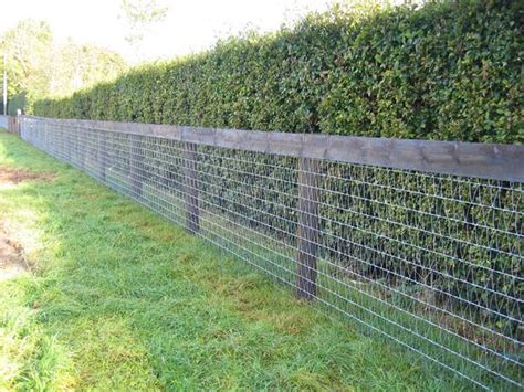 V-Mesh Horse Fencing – The Safest 12–16 Gauge Wire for Horse Keeping